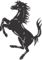 Rectangle 31